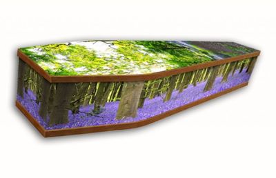 bluebell picture coffin